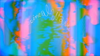 Pineal Wave - HAPPY (Official Video) #hpyband