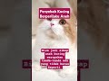 Penyebab Kucing Berperilaku Aneh