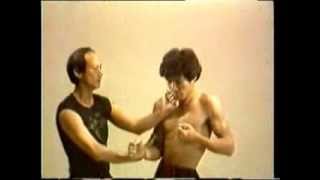33 Lessons in Wing Chun, Instructional DVD