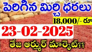 23-02-2025 గుంటూరు మిర్చి మార్కేట్ ధర || Today #mirchiRates In market ||  Mirchi Rate Increase ??