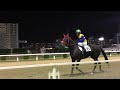 2018.10.15 川崎🐎12r ミコタマ u0026藤江渉騎手 本馬場入場