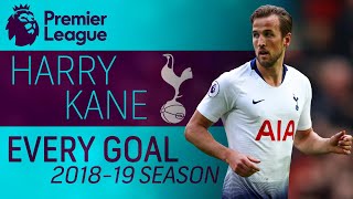 Every Harry Kane goal from the 2018-19 Premier League season | NBC Sports