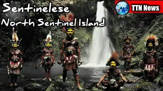 สารคดี ชนเผ่า #Sentinelese ชนเผ่าลึกลับผู้ปฏิเสธโลกกว่า 60,000 ปี