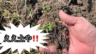 平井農園 HiraiFarm 全ては土から始まる！！ Everything starts from soil.