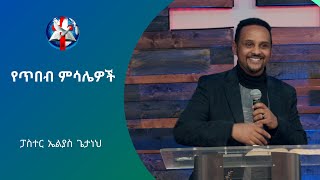 Word of God by Pastor Elias Getaneh - የጥበብ ምሳሌዎች/ በጥበብ መኖር (Proverbs 30:24 - 28)