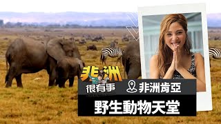 【非洲 肯亞】等待大象排排站過馬路！超妙體驗的野生動物天堂安博塞利公園｜廖科溢《#我的非洲很有事》｜S1 EP4 @asiatravel-tv