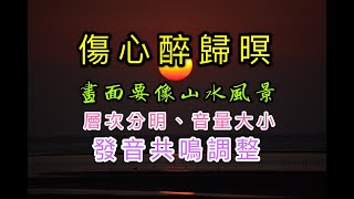 楊哲 傷心醉歸暝 (江意銘 老師 歌唱技巧教學)原唱 楊哲2020 11 25