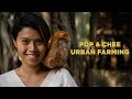 Urban farming with Pop & Chee Healthy Home Farm