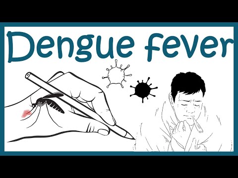 Dengue virus and Dengue pathophysiology Dengue virus and Dengue pathophysiology