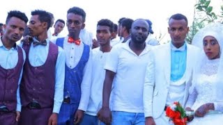 መሀል አምባ የገጠር ሰርግ መገን  ቪደወዉ ከተመቻቺሁ ላይክ ስብስክራይብ አዳይረሱ