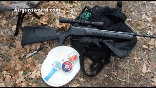 Crosman .177 Nitro Venom Dusk Air Gun Shooting at 25 and 50 Yard Targets