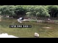 off road 4×4 테라칸 u0026 쏘렌토 세미 오프로드 테라칸의 겁없는 도강 도전 테라킹이 되느냐 침수가 되느냐 korean submarine