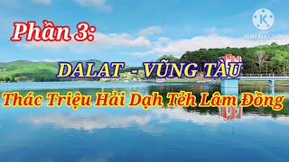 Phần 3: Vũng Tàu-Dalat Thác Triệu Hải 18/11/2024