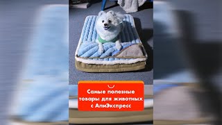 Самые полезные товары для животных с АлиЭкспресс #shorts