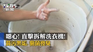 【TVBS】噁心！　直擊拆解洗衣機！　黃污黑垢、黴菌發臭