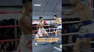 การเตะถีบกระจับไม่ผิดกติกามวยไทยแต่ก็ไม่สมควรทำ #muaythai #มวยไทย #fcmuaywat #เอฟซีมวยวัด