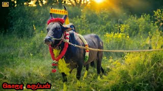 ⚔️Kangayam Beast Bull |🖤Mass Black Jallikattu King👑 |  #jallikattu_2023