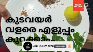 എങ്ങനെ കുടവയർ എളുപ്പം കുറക്കാം|HOW TO REDUCE BELLY FAT|MALLUS INFO TECH|