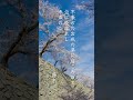 石川啄木『一握の砂』より