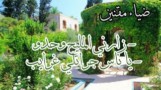 زارني المليح وحدو - يا ناس جراتلي غرايب اداء ضياء مقنين