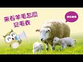 動物敲敲門第11期 羊毛變毛衣的綿羊 試閱