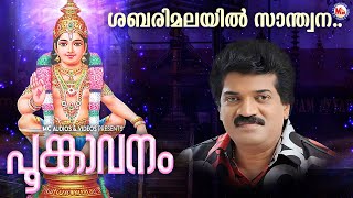 ശബരിമലയിൽ ..| ayyappa devotional song malayalam | hindu devotional | mg sreekumar |