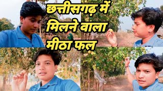 छत्तीसगढ़ में मिलने वाला मीठा फल || @PriyankaPainkravlogs