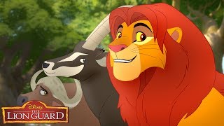 Welcome to the Summit | Music Video | The Lion Guard | Disney Junior