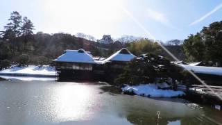 H29 旅行 玄宮園(彦根城庭園)　滋賀県彦根市　20170128