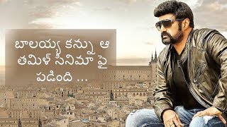 బాలయ్య కన్ను ఆ తమిళ్ సినిమా ఫై పడింది| Balakrishna Confirms Next Film | Tollywood Reels