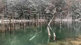 秘境　一の俣桜公園