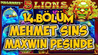 SLOT MAXWİN PEŞİNDEYİZ! 🦁 5 LİONS MEGAWAYS 🦁BÖLÜM :14 🧜‍♂️ #maxwin  #slot #athena  #slotoyunları