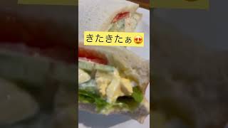 北九州グルメ❣️サンドイッチファクトリーOCM🥪　#shorts #福岡グルメ #北九州グルメ