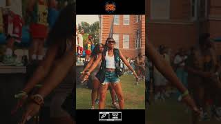 DELTA STROLL! MUST WATCH!! DELTA SIGMA THETA SORORITY, INC. [ ATLANTA GREEK PICNIC '23]