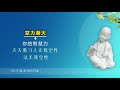 莲花智慧 修行进步的印证20191104 易明净土实修菩提讲堂 仁泽法师