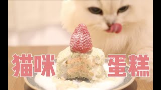 手残也会的万能猫蛋糕做法，以后猫生日就这么安排吧！