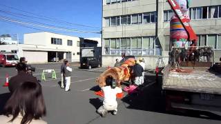 20101022 巨大こけしと巨大こけし灯ろう　設置風景４