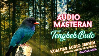 #12 Audio Masteran Suara Burung Tengkek Buto + Jeda + Gemricik Air jernih