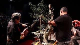 Kunio Kobayashi Bonsai demo