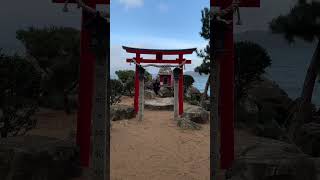 ⛩藤ヶ崎龍神社⛩ 琵琶湖の夫婦龍神様の恩恵をお届け致します🙏 #神社 #スピリチュアル #shorts