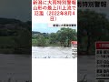 新潟に大雨特別警報 山形の最上川上流で氾濫（2022年8月4日）