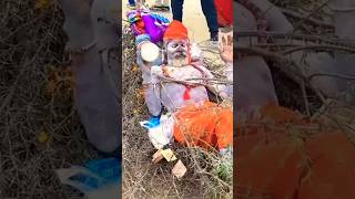 Nagasadhu in prayagraj।।viral girl in mahakumbh#nagasadhu#prayagraj#kumbhmela#viral shorts#trending