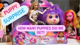 Puppy Surprise unboxing and review! How many puppies did we get?!