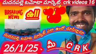 CRK VIDEOS16  is live! Madanapalle Tomato market stock today 🍅 #todaytomatorate