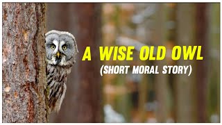 Short Moral Story "A WISE OLD OWl"