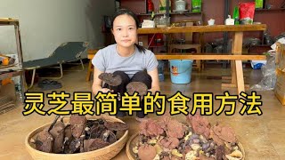 野生灵芝最简单的食用方法，你知道吗，汤水鲜香入口香甜