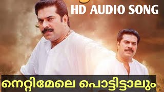 Nettimele Pottittalum HD Audio Malayalam Song Valliyettan