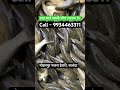 ग्रास कार्प मछली जीरा उपलब्ध है। grass carp fish seed available मछली fishing viral bihar