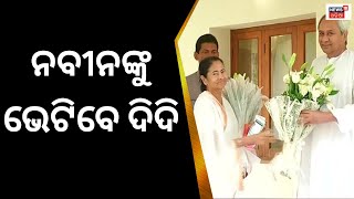 West Bengal CM Mamata Banerjee To Visit Puri, Odisha | ଆସନ୍ତାକାଲି ଓଡ଼ିଶା ଆସିବେ ଦିଦି | Odia News