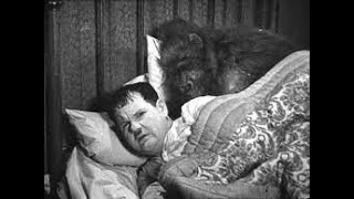 Laurel \u0026 Hardy The Chimp 1932 Funny Stan and Ollie